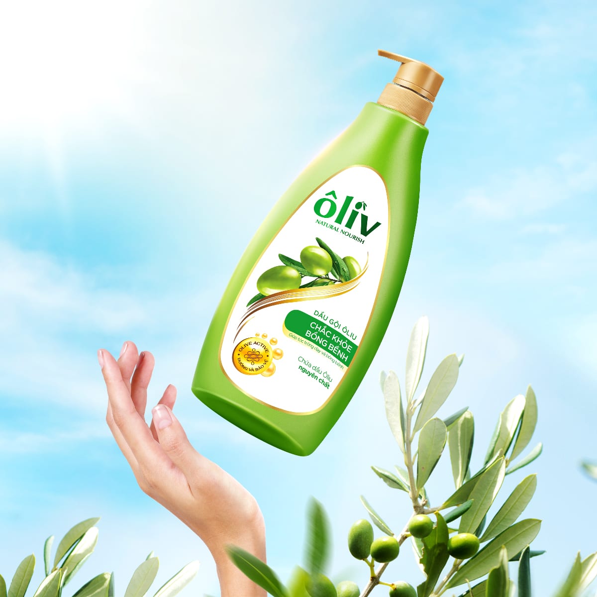 ÔLIV 2
