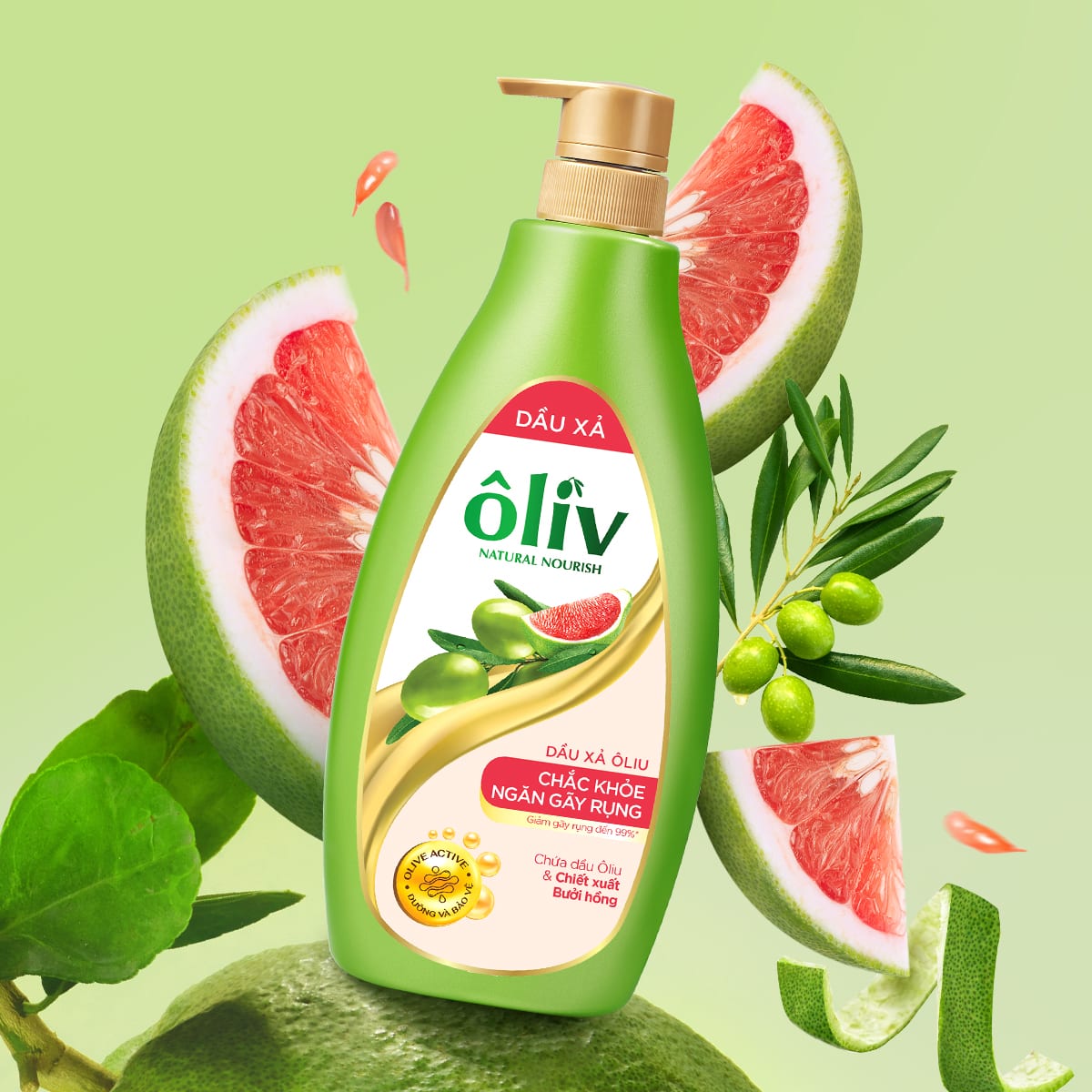 ÔLIV 6