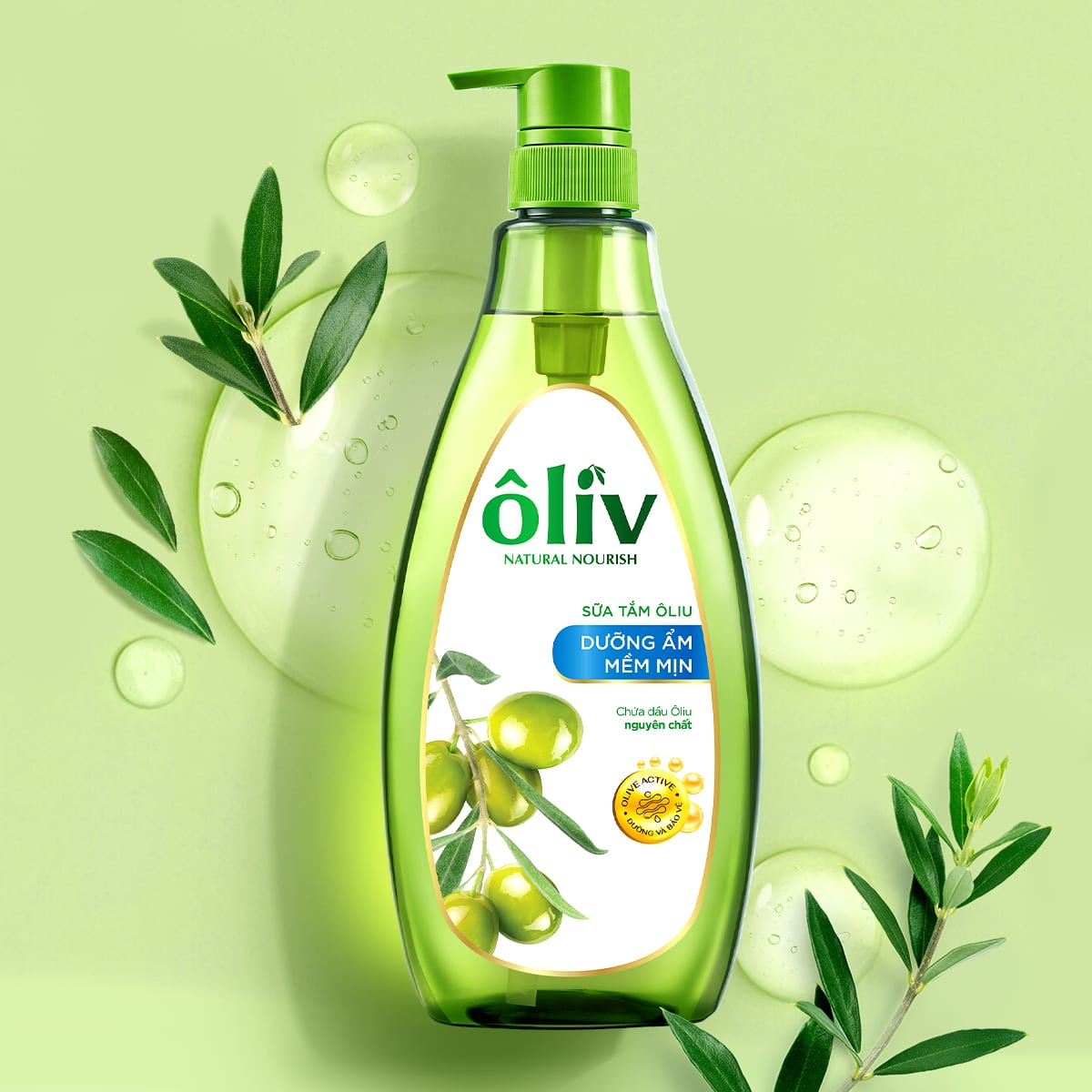 ÔLIV 7
