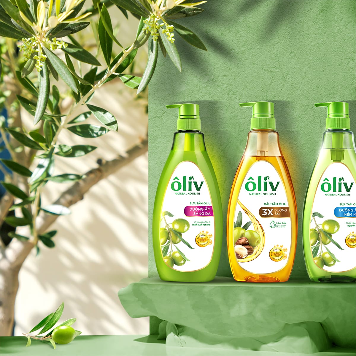 ÔLIV 8
