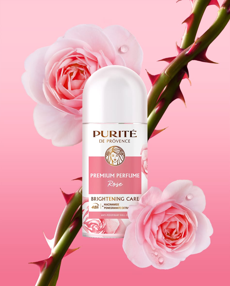 PURITÉ 3