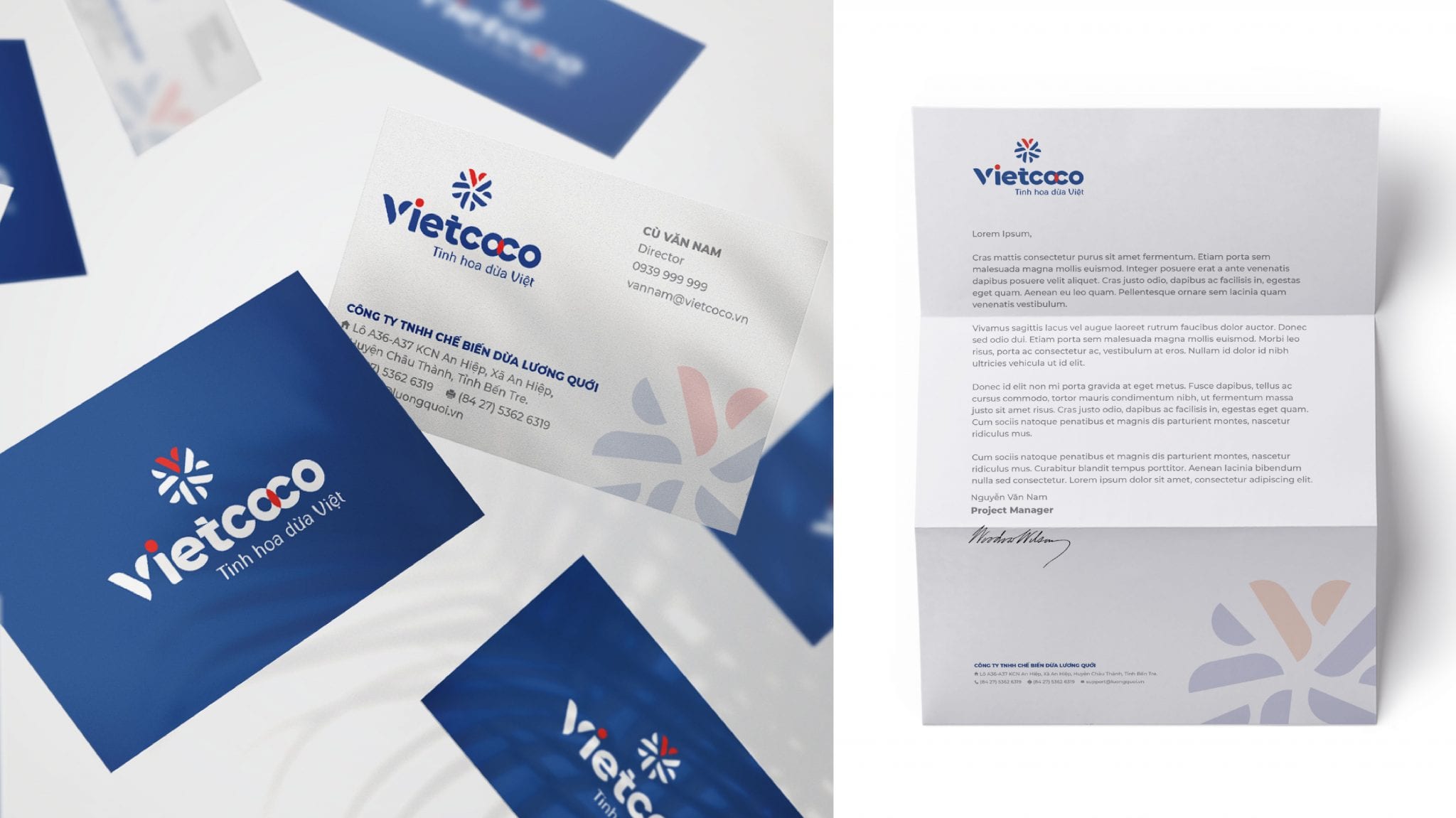 THE LOGO & BRAND IDENTITY